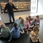 meisenthal - collection boules de noel - ok