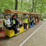 le ptit train